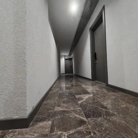 酒店 White Boutique Hotel- 艾福雷诺德
