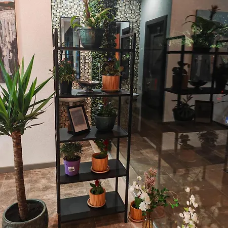 Hotel White Boutique Hotel-